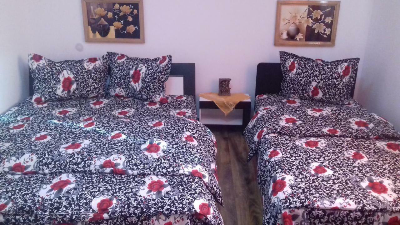 Casa Leonardo Hateg Bagian luar foto