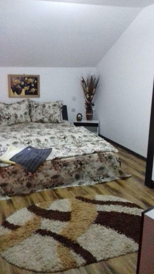 Casa Leonardo Hateg Bagian luar foto