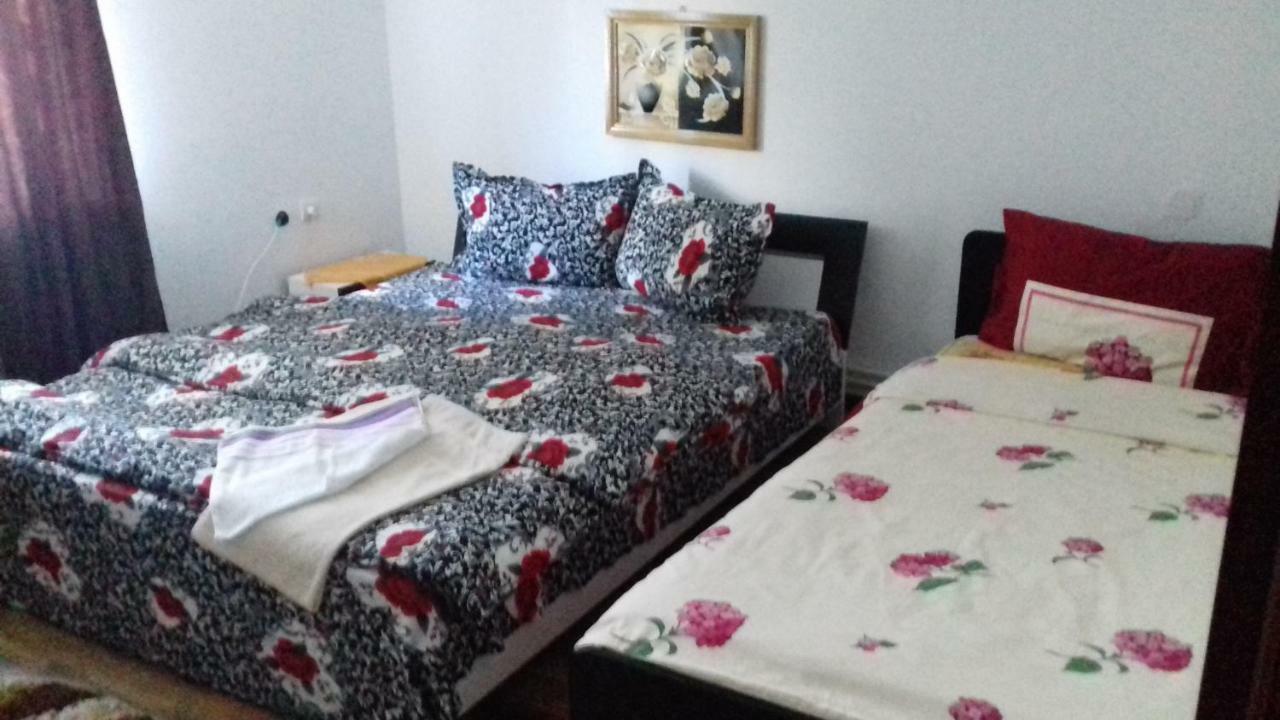 Casa Leonardo Hateg Bagian luar foto